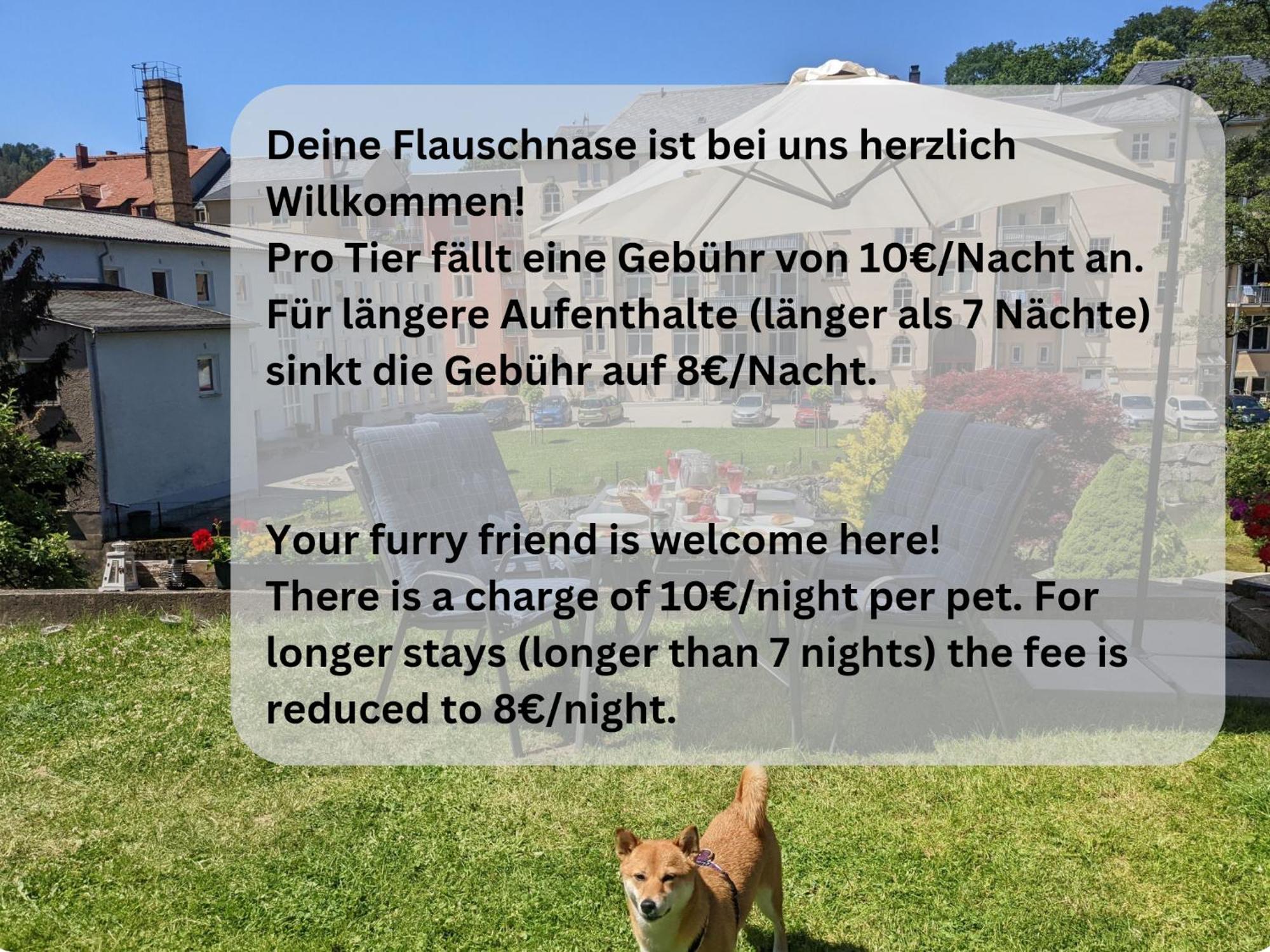 Hw4B - Urlaubsmagie - Zentral Mit Gemeinschaftsgarten, -Pool, -Sauna & Whirlpool Зебніц Екстер'єр фото